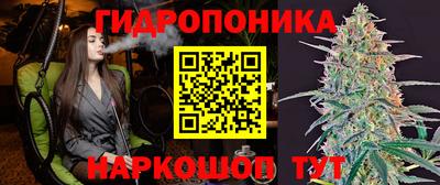 а пвп мука Новозыбков