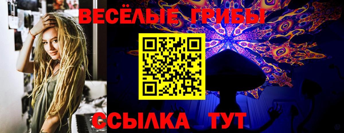 Галлюциногенные грибы мухоморы Строитель
