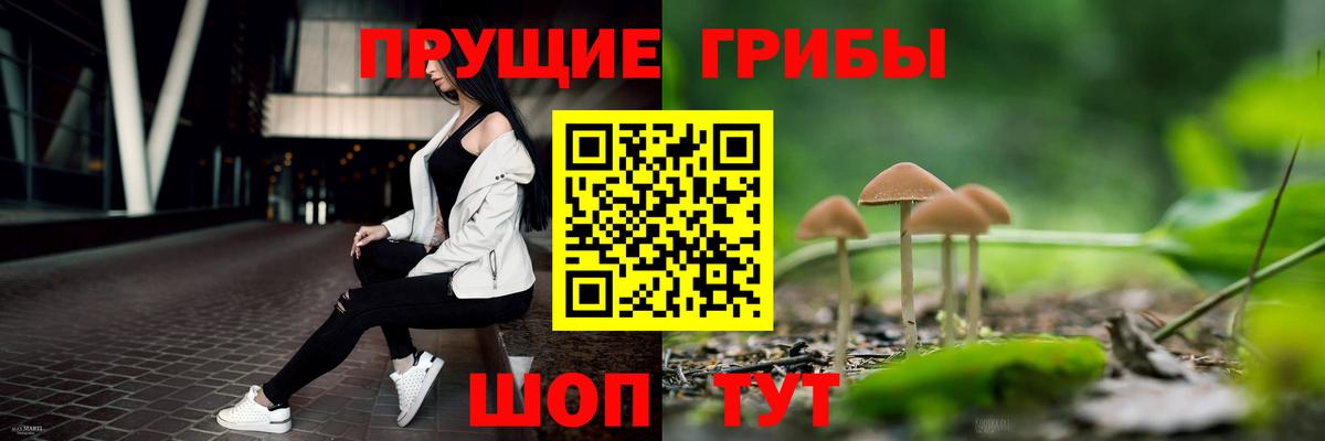 Псилоцибиновые грибы Cubensis  Вход с VPN  где продают   Строитель 
